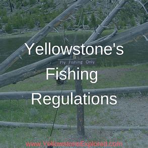 yellowstone national park fishing license|yellowstone park fishing restrictions.